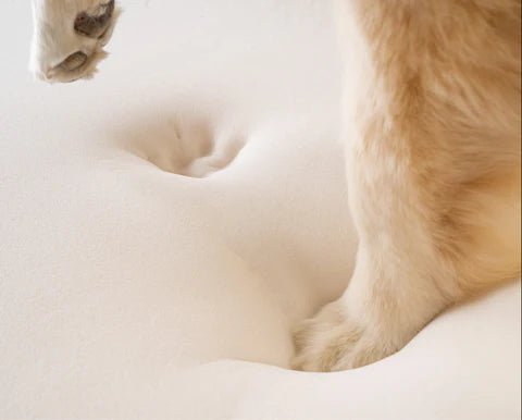 Hva er fordelene med memory foam hundeseng? - Hundetepper