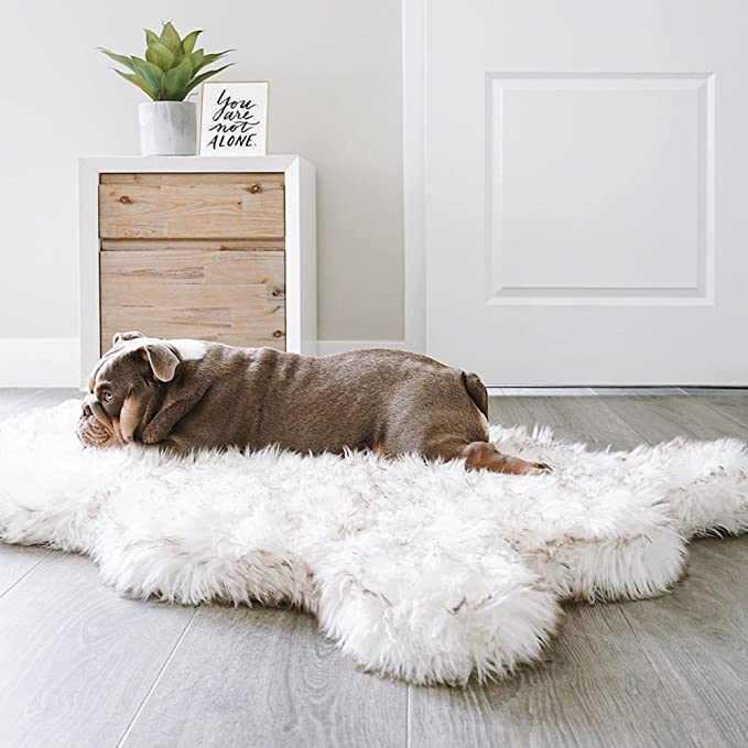 Bulldog som ligger på et av våre hundetepper. Hundeteppet er lyst med gråmeleringer.