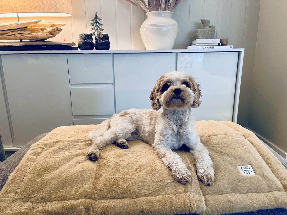 Mykt og vanntett hundeteppe i stilrent design til hundeseng, hundebur og sofa fra Hundetepper