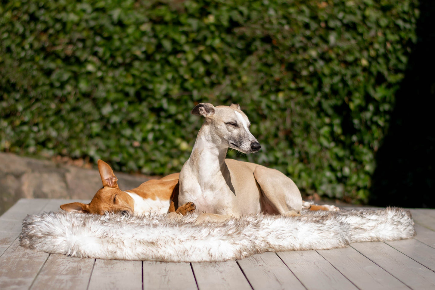 ComfyRug Original - Hundeseng med premium memory foam - Hundetepper