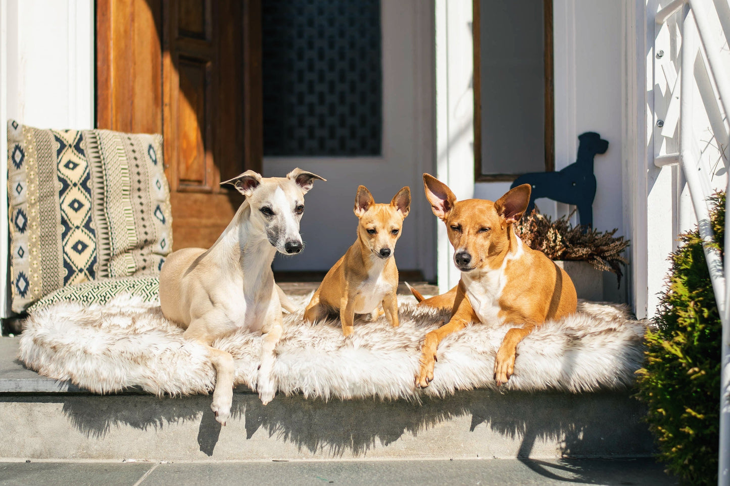 ComfyRug Original - Hundeseng med premium memory foam - Hundetepper