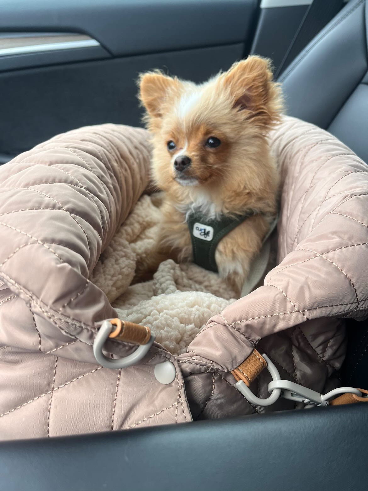 Kombinert bilsete og reiseseng til hund - Hundetepper
