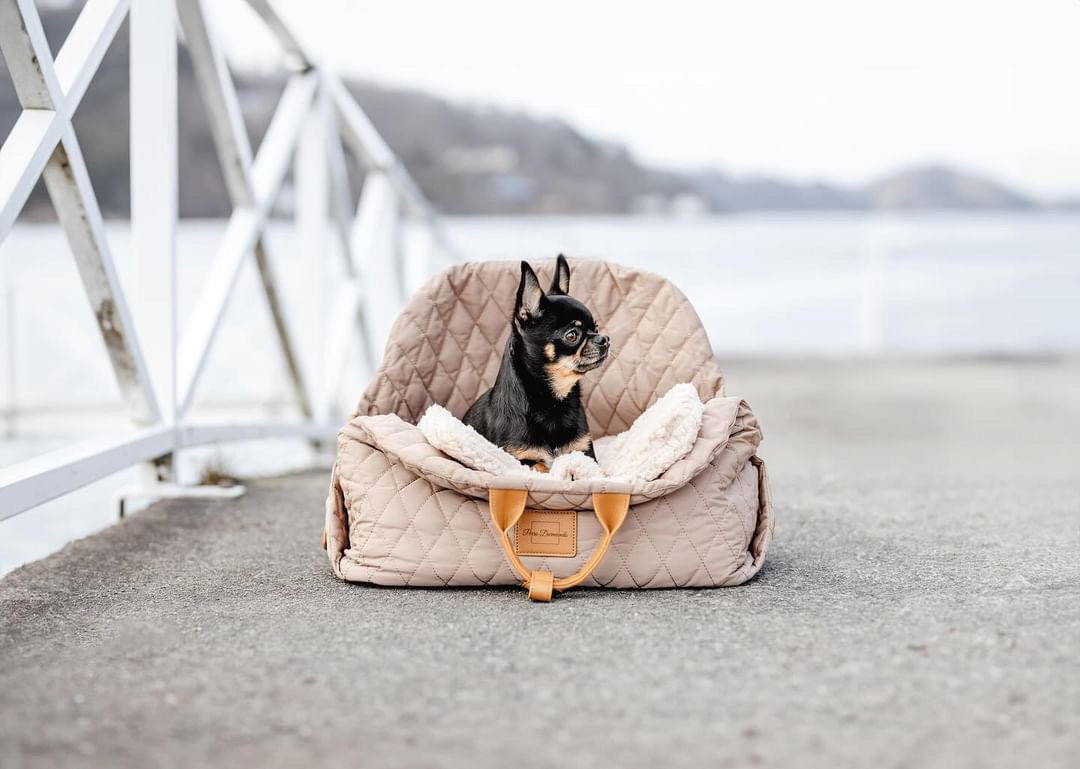 Nyhet! Kombinert bilsete og reiseseng til hund - Beige reisevekse med en liten svart og brun hund oppi. Bildet er tatt ute på en bro.
