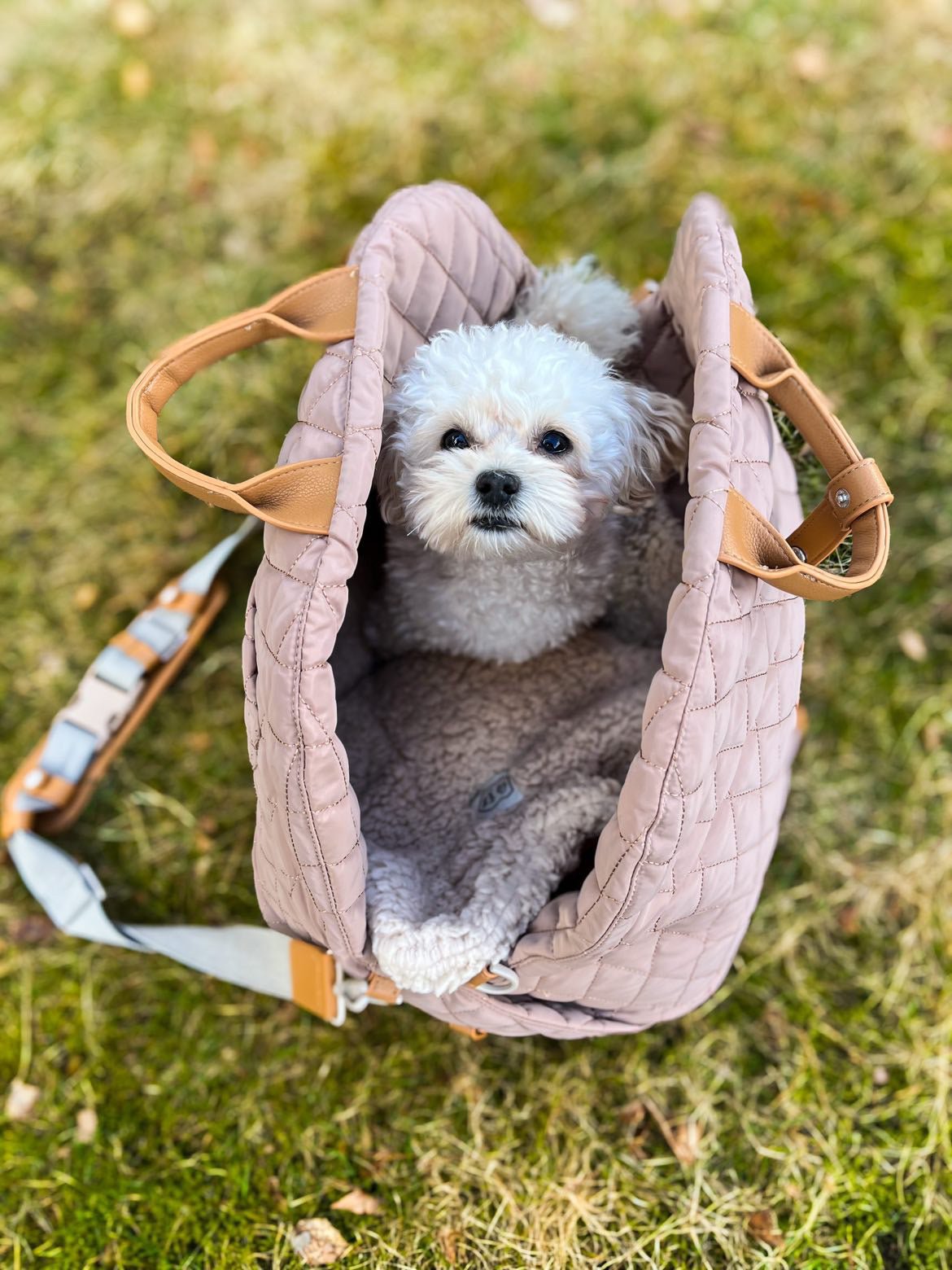 Nyhet! Kombinert bilsete og reiseseng til hund - Hundetepper