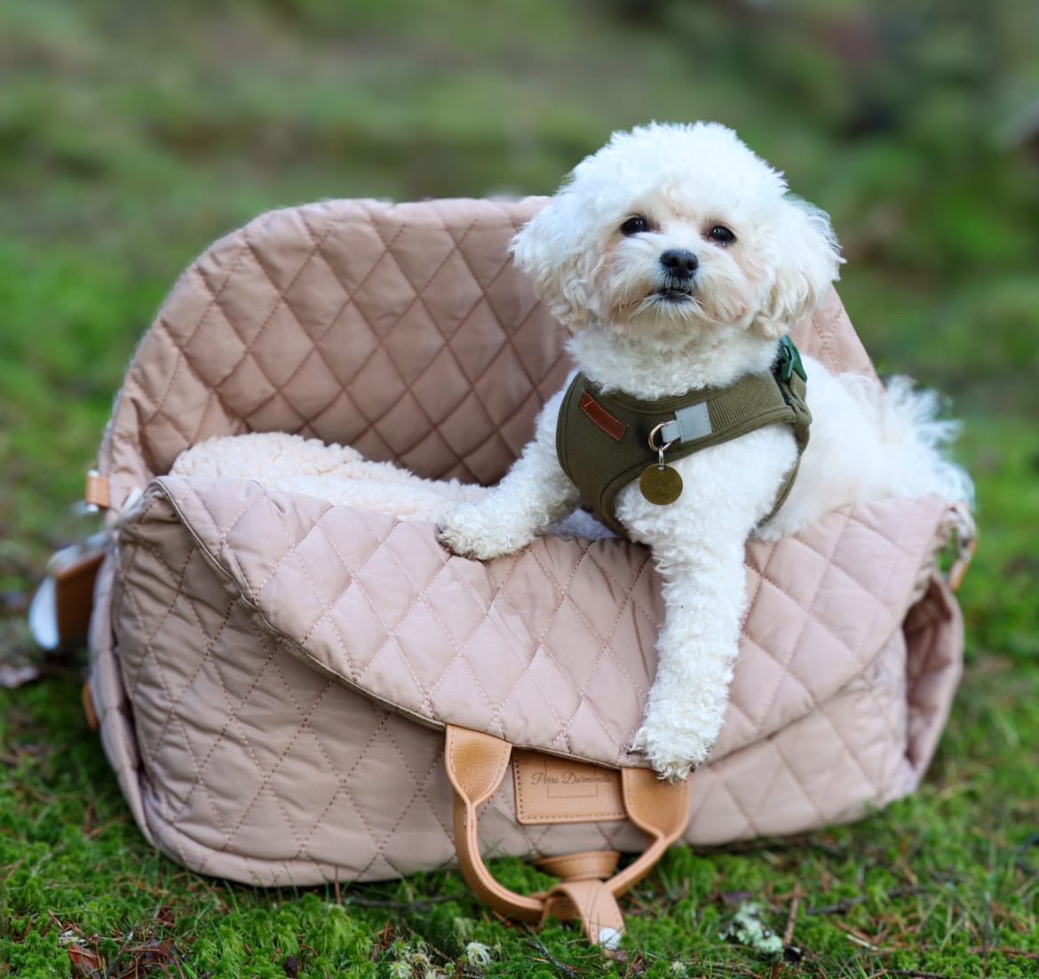 Nyhet! Kombinert bilsete og reiseseng til hund - Hundetepper