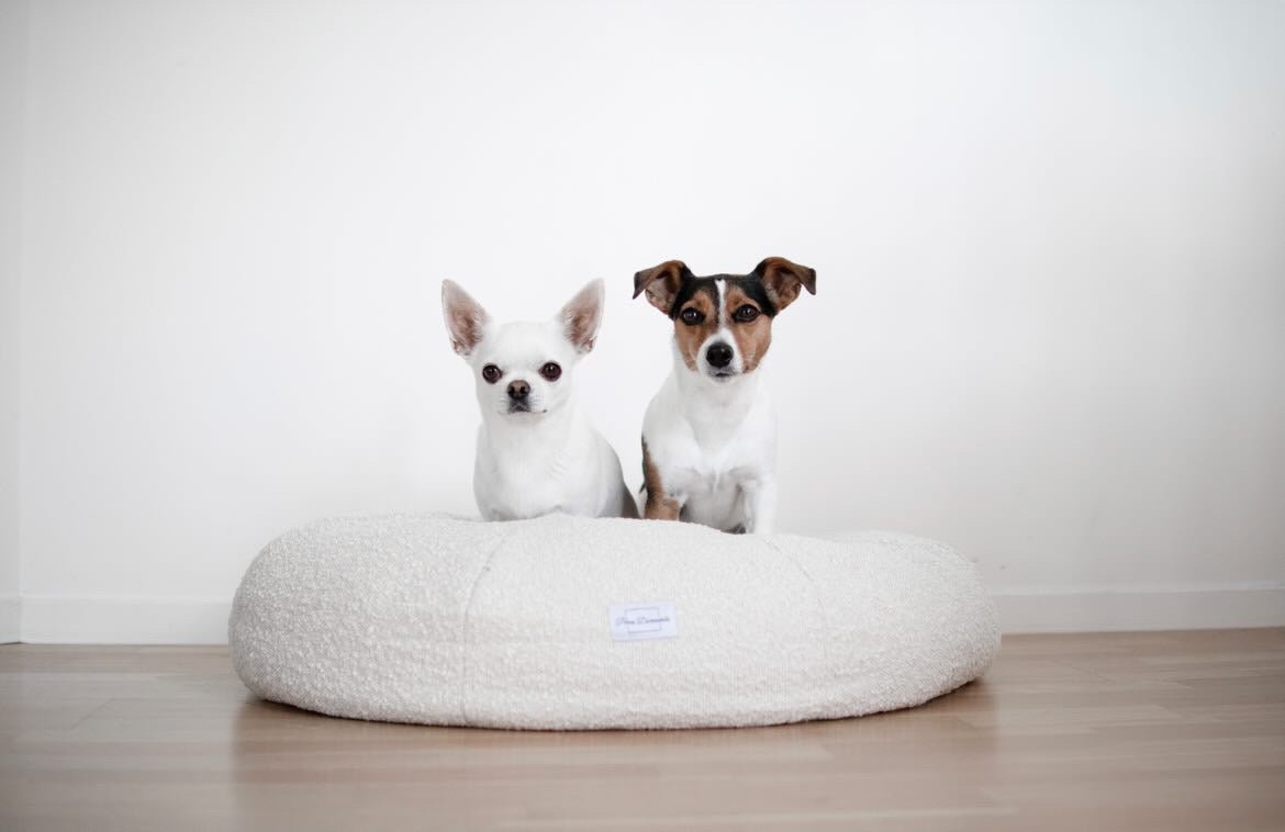 Perro Durmiendo bouclé donut - Hundetepper