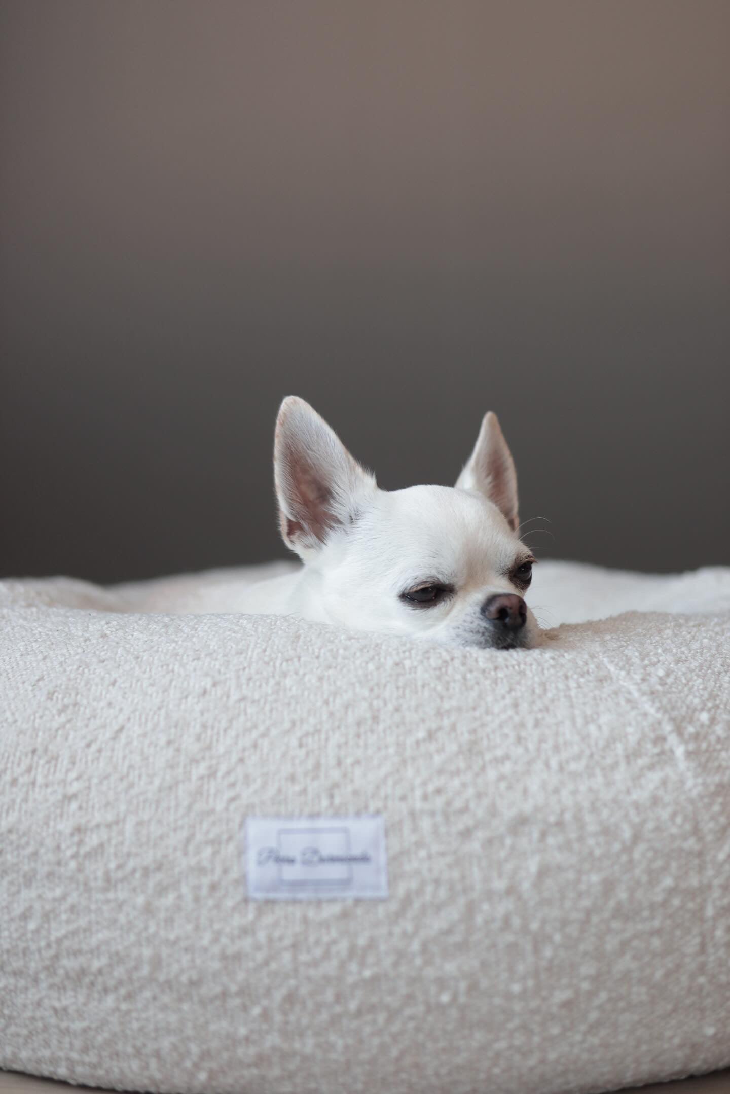 Perro Durmiendo bouclé donut - Cream - Hundetepper