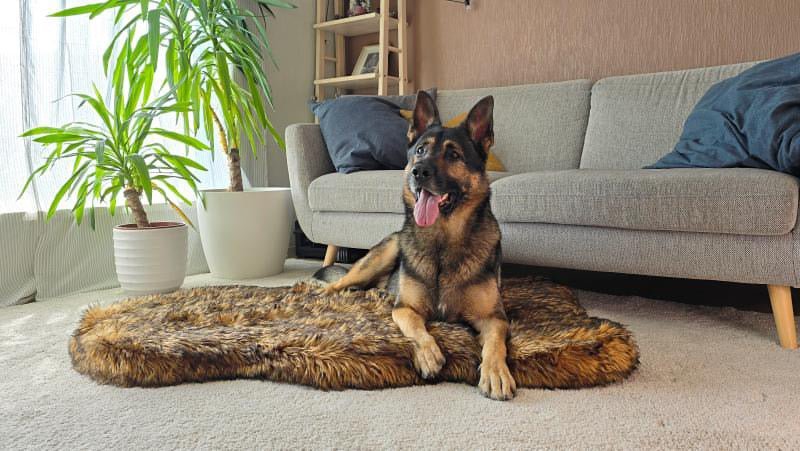 Trekk til ComfyRug Original hundeseng med premium memory foam (madrass ikke inkludert) - Hundetepper