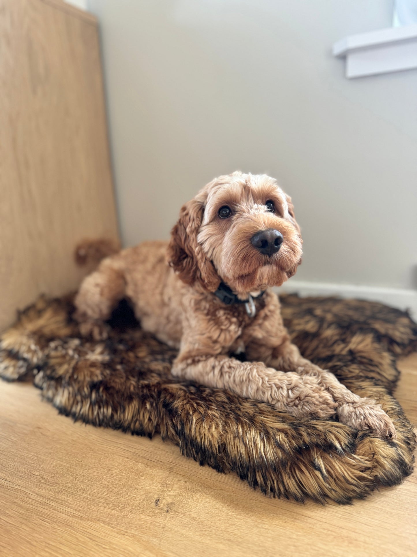 Trekk til ComfyRug Original hundeseng med premium memory foam (madrass ikke inkludert) - Hundetepper