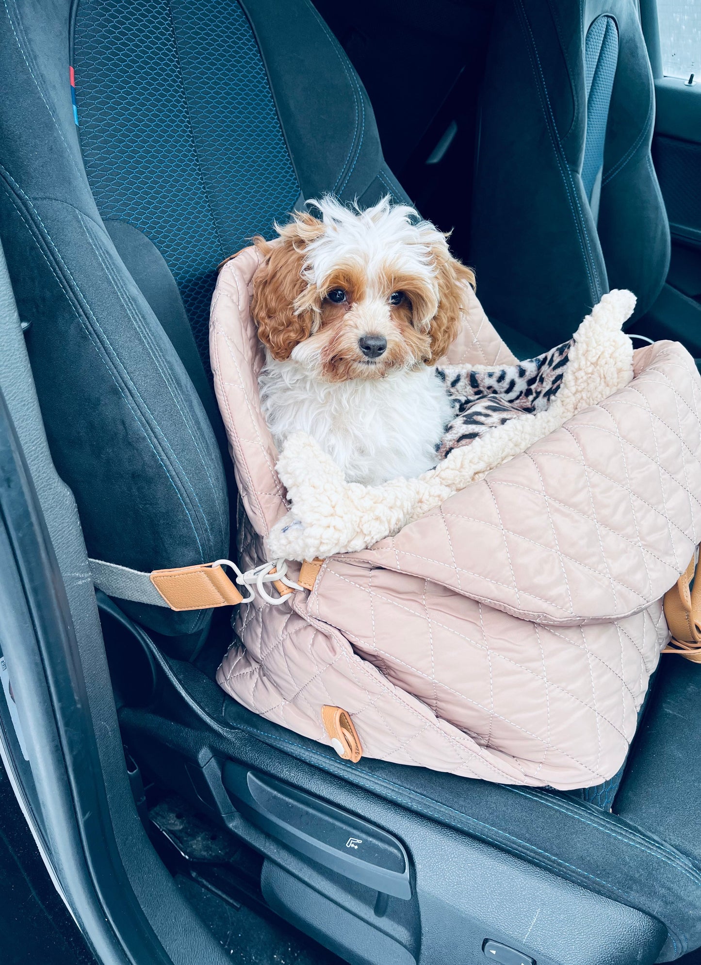 Nyhet! Kombinert bilsete og reiseseng til hund - Hundetepper