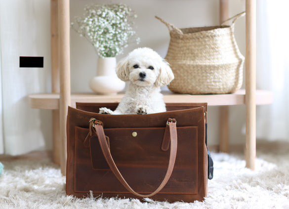 Hundeveske - trygg og stilfull transport for din hund - Hundetepper