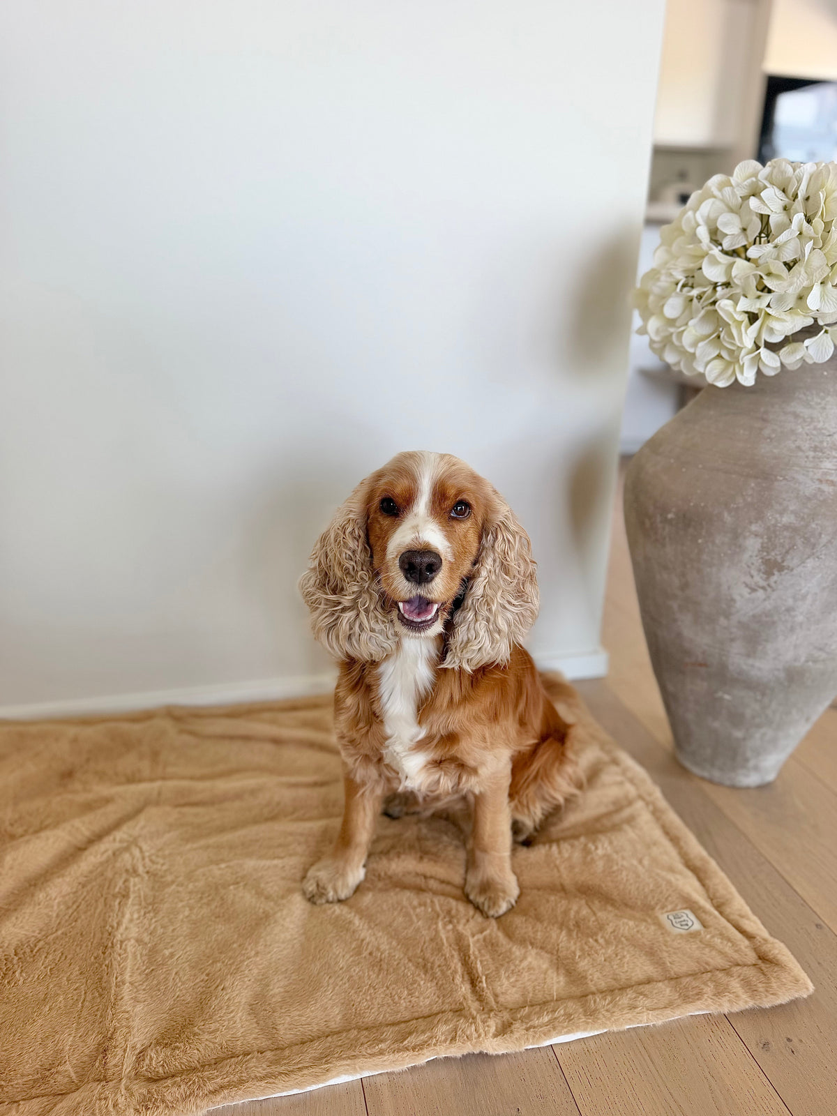 ComfyRug Caramel vanntett hundematte - perfekt som bilburmatte - Hundetepper
