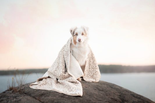 ComfyRug Nordic Leo – Stilig og vanntett hundeteppe i moderne design - Hundetepper