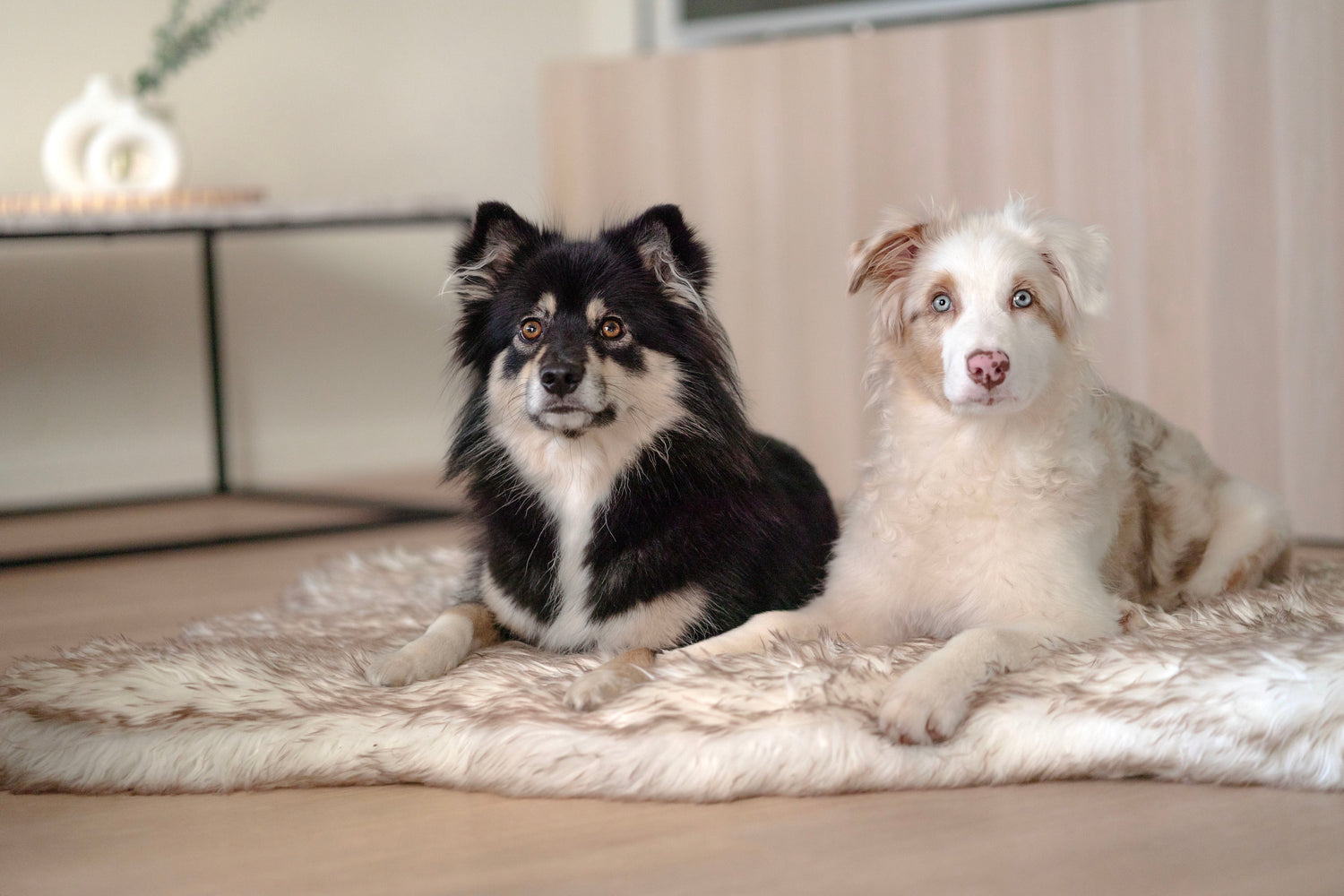 ComfyRug Original - Hundeseng med premium memory foam - Hundetepper