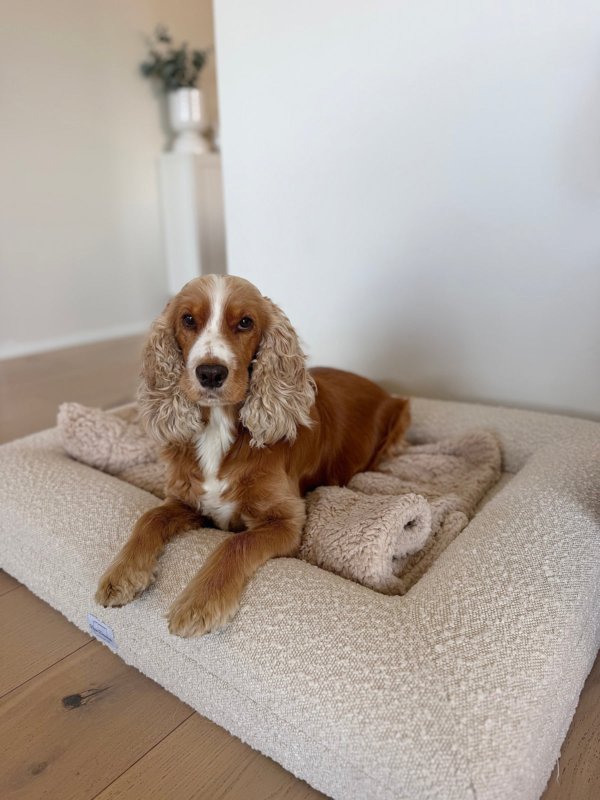 ComfyRug Teddy hundeteppe - Hundetepper