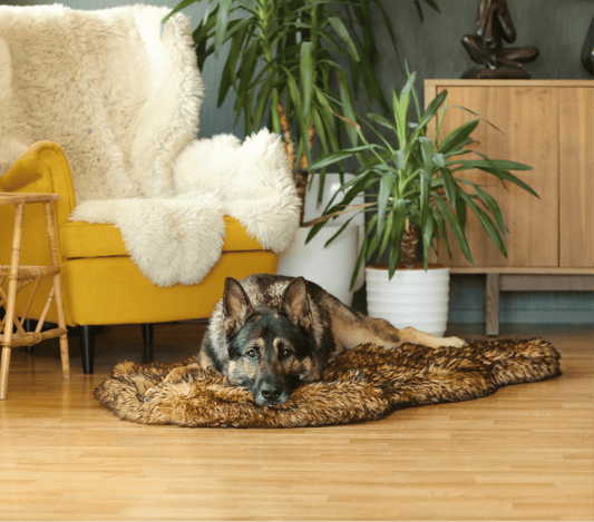 Hundeseng med premium memory foam - Brown edition! - Hundetepper