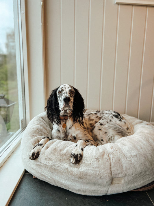 Nordic Cloud donut - hundeseng - Hundetepper