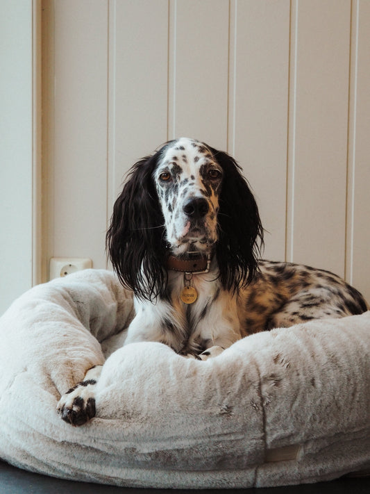 Nordic Cloud donut - hundeseng - Hundetepper