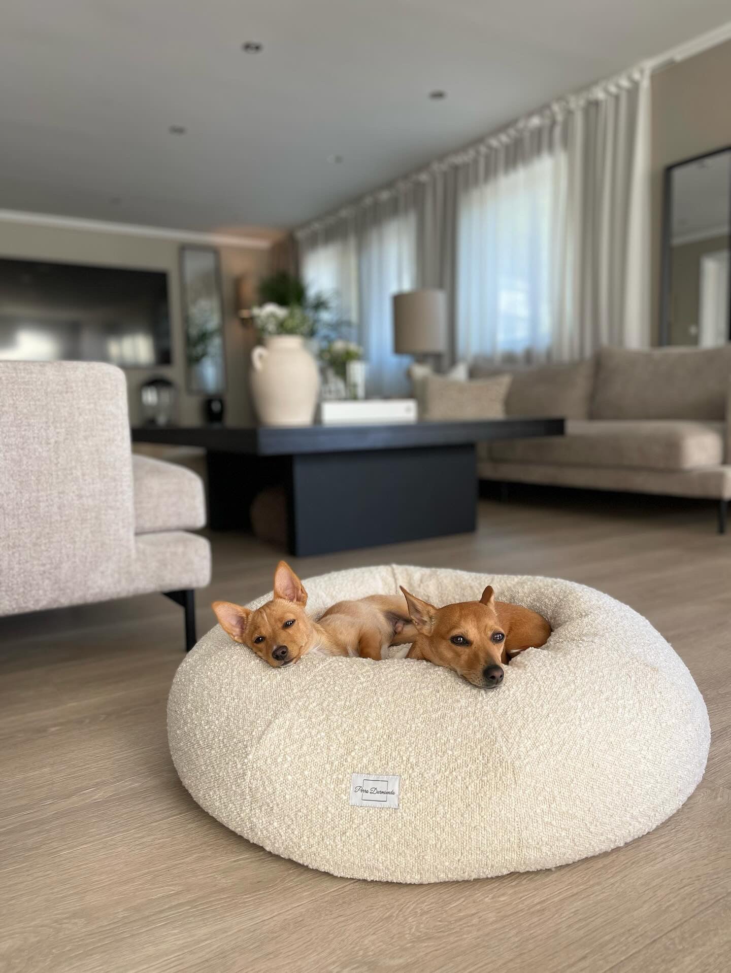 Perro Durmiendo bouclé donut - 2 hunder som ligger oppi en nydelig cremefarget rund boucle hundeseng. Bildet er tatt i en stue som passer perfekt stilmessig til hundesengen. 