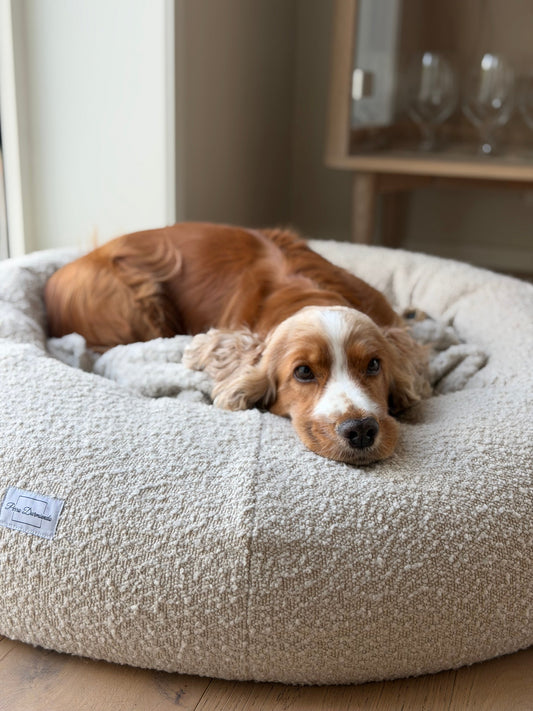 Perro Durmiendo bouclé donut - Cream - Hundetepper