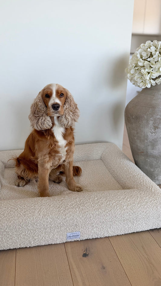Perro Durmiendo bouclé sofa bed - Cream - Hundetepper