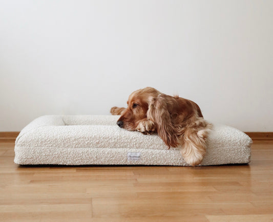 Perro Durmiendo bouclé sofa bed - Cream - Hundetepper