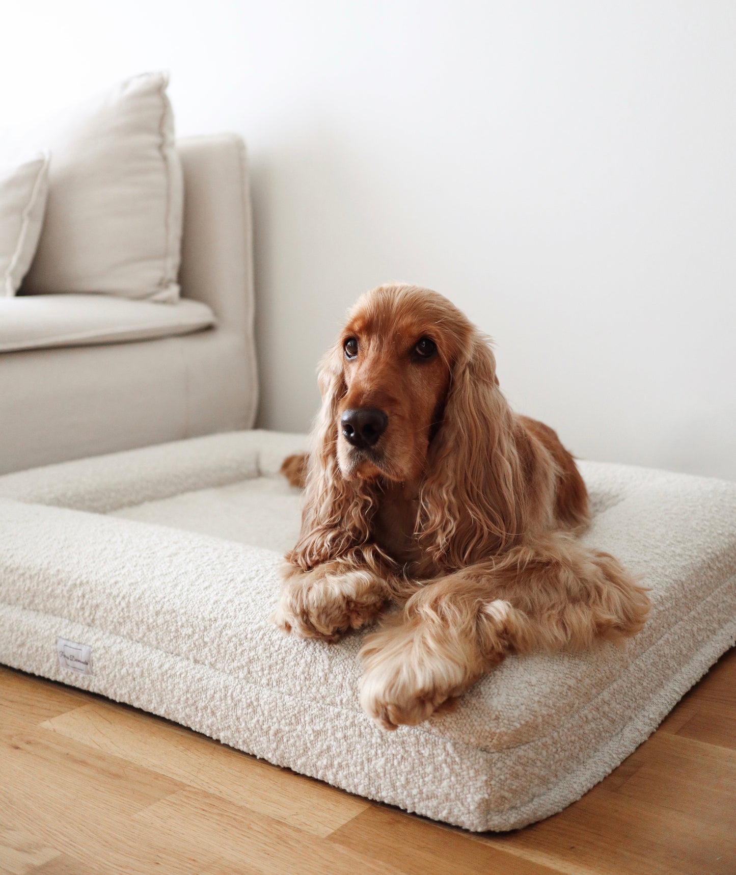 Perro Durmiendo bouclé sofa bed - Cream - Hundetepper