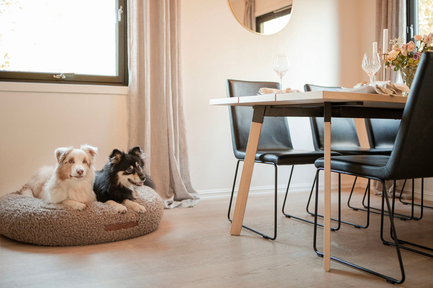 Teddy Daybed – Myk og elegant hundeseng med stilrent design - Hundetepper